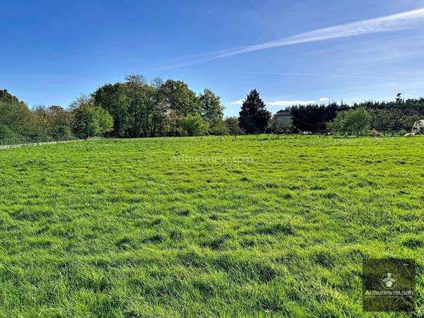 Vente Maison 9 pièces 200 m2 à Riorges