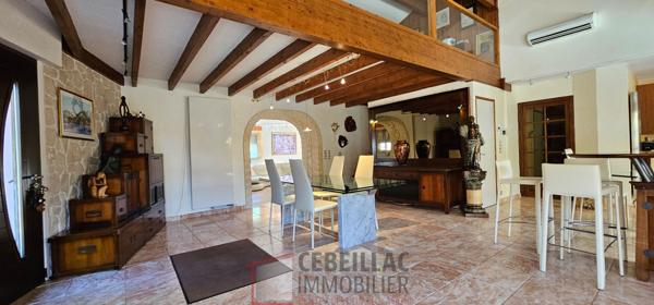Villa 11 pièce(s) 7 chambre(s) 310 m²