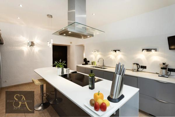 Propriété environ 312m² avec environ 9000m² à 35 minutes de Carcassonne, Dpt Aude (11)