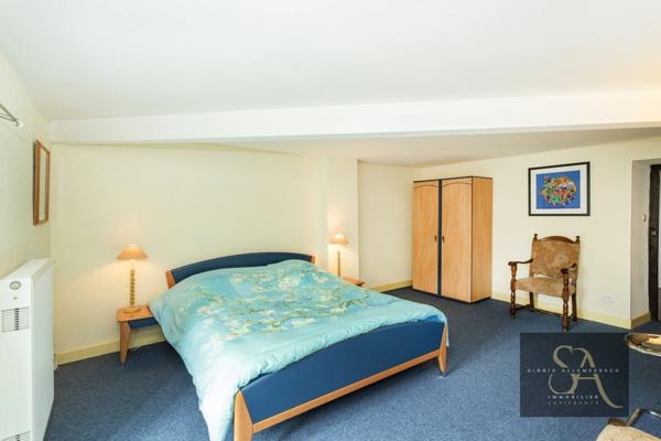 Propriété environ 312m² avec environ 9000m² à 35 minutes de Carcassonne, Dpt Aude (11)