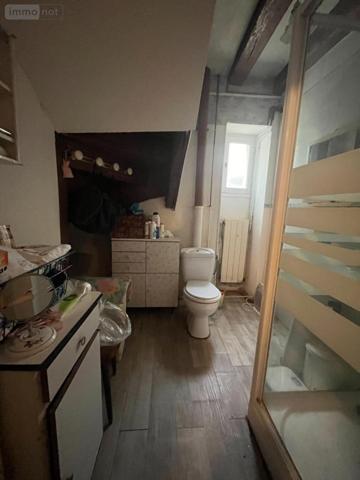 Maison à vendre à L'Île-Bouchard dans l'Indre-et-Loire (37220), ref : 37060-2256