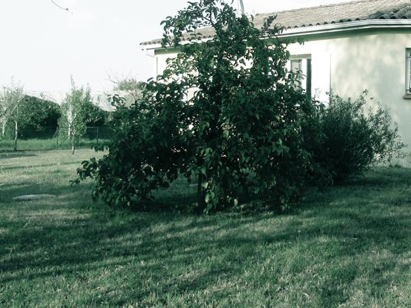 Caussade (82300) MAISON DE PLAIN-PIED