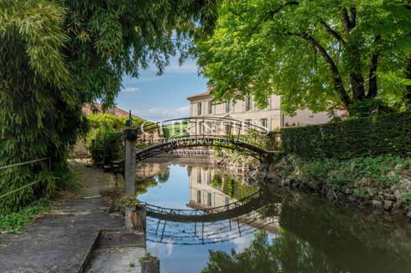 Magnifique Propriété avec Maison de Maître, Moulin et Gîtes