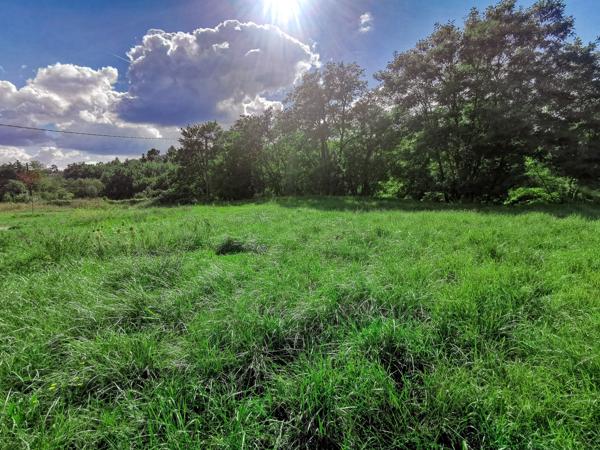 Rians (83560) Terrain constructible 1032 m²