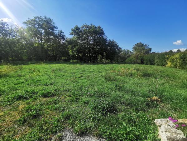 Rians (83560) Terrain constructible 1032 m²