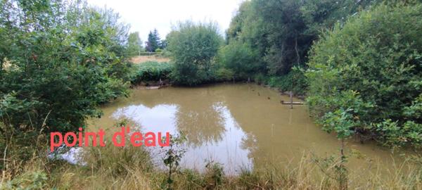 Maison avec terrain et point d'eau