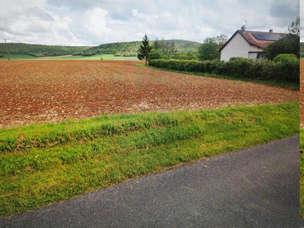 Terrain Buffon 1500 m2
