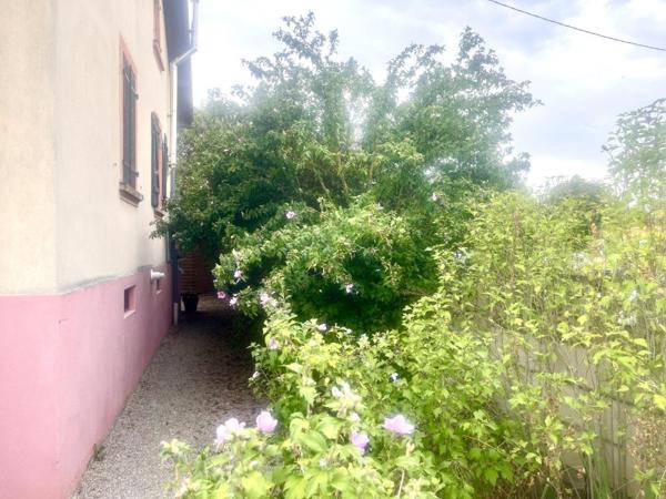 Vente / Appartement T3 à Richwiller (68120)