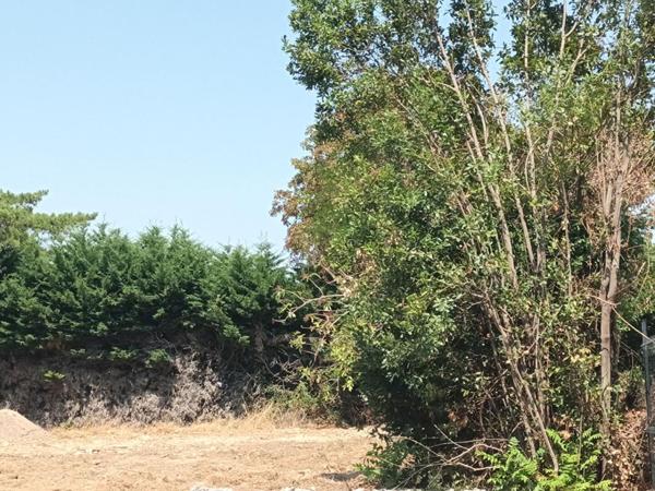 Terrain Nieul Sur Mer 1261 m2