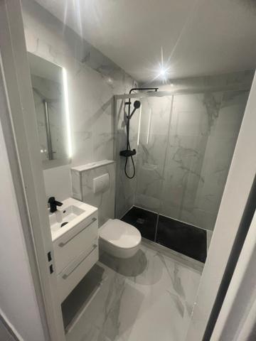 Appartement Gaillard 1 pièce(s) 21 m2