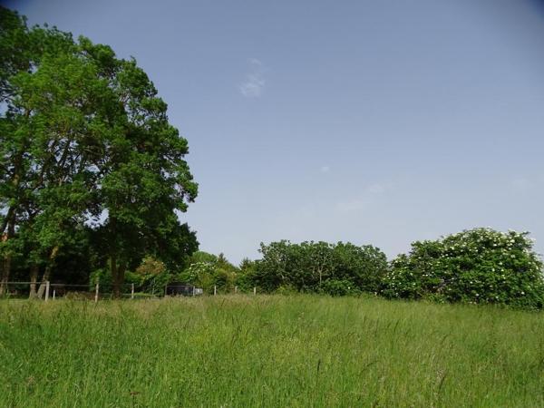 Vente / Terrain constructible