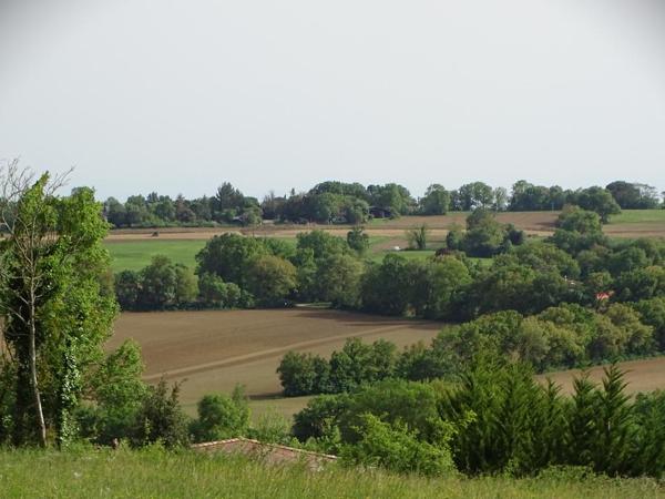 Vente / Terrain constructible