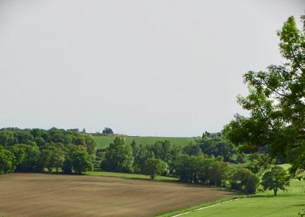 Vente / Terrain constructible