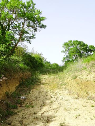 Vente / Terrain constructible