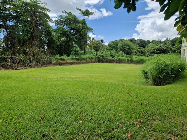 Petit-Bourg (97170) À VENDRE – Studio Meublé en Rez-de-Chaussée – Idéal Investisseur ou Primo-accédant