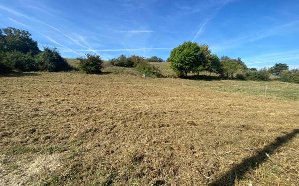 Terrain à vendre    Villebrumier