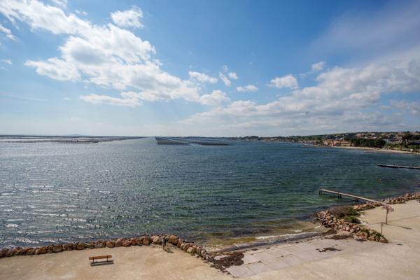 Vente Propriété de luxe Bouzigues 9 Pièces 173 m²
