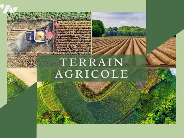 Terrain agricole