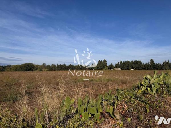 Terrain agricole