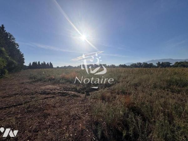Terrain agricole
