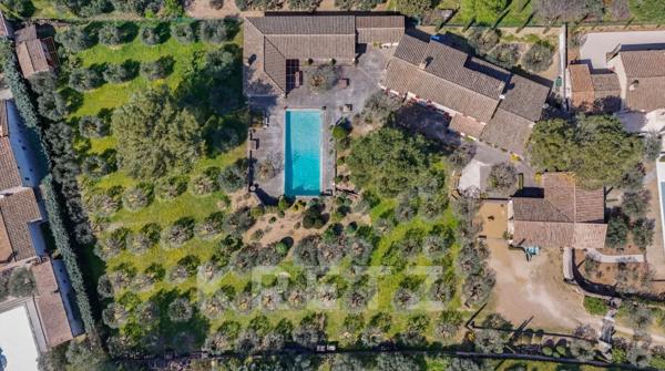 Propriété d’exception au cœur des Alpilles – Saint-Rémy-de-Provence