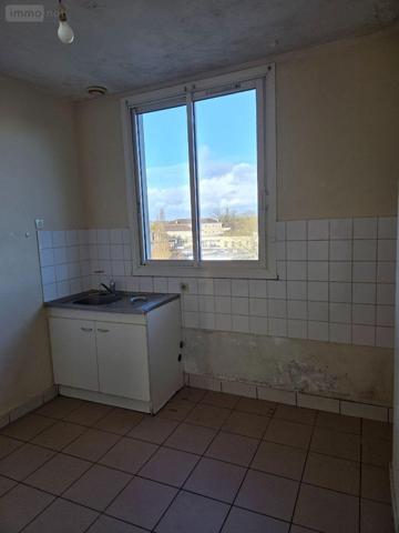 Local mixte (Pro/Hab) à vendre à Mayenne en Mayenne (53100), ref : 53075/DLS69