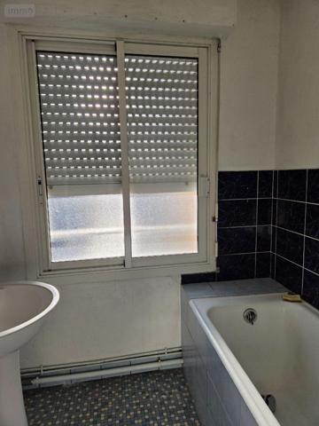 Local mixte (Pro/Hab) à vendre à Mayenne en Mayenne (53100), ref : 53075/DLS69