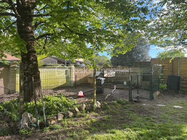 Cestas Bourg

Maison familiale T6 de plain-pied de 143 m², avec un garage attenant et une dépendance aménagée de 38m². 
Le bien se situe sur un grand terrain arboré de 1162 m2 et jouit d'une grande piscine de 10m x 4m sans vis à vis. 

Construite en 1988, la bâtisse a connu une extension en 1997, et la piscine date de 2003 ( filtre à sable + traitement au chlore), comme la dépendance avec coin salon/cuisine, une chambre, une salle d eau et jardinet pouvant être loué ou accueillir des proches.

Cette agréable maison propose une pièce à vivre lumineuse ( 2 baies vitrées) agrémentée d'une cheminée à insert avec diffusion de chaleur, et de sa cuisine ouverte (50m² en tout). 
Elle dispose de 2 grandes chambres de 15 m², d'une suite parentale ( 13m²) avec salle de bain et d'une dernière chambre de 11 m² environ. 
En plus d'un bureau de 11m², elle possède une deuxième salle de bain avec douche et WC, et d'un autre WC indépendant. 

Une grande terrasse donnant sur le jardin sans vis à vis permet de profiter de moments agréables autour du barbecue en pierre et non loin de la piscine. 

La cuisine donne également sur une autre terrasse permettant la rentrée facile des courses sorties directement de la voiture.

Chauffage : pompe à chaleur air- air à reviser + cheminée . Climatisation par pompe à chaleur également. 

Dans le jardin, un enclos a été aménagé pour accueillir poules et lapins à votre convenance. 

La dépendance aménagée donne sur une petite terrasse privative. 

Ce bien conviendra à une famille avec enfants désireuse de profiter du calme tout en étant proche de toutes les commodités dans un quartier paisible,  proche du centre ville ( 15 min à pied ) et proche d'une belle forêt et de toutes les commodités : école, collège, commerces, cinéma, centres médicaux. 
Une aire de jeux pour les enfants se trouve également à proximité. 
La gare se trouve à 12 min en voiture.

A visiter sans tarder !