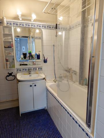 Boulogne-Billancourt (92100) vaste T2 lumineux - 65m² - au coeur de SILLY-GALLIENI - cave - parking