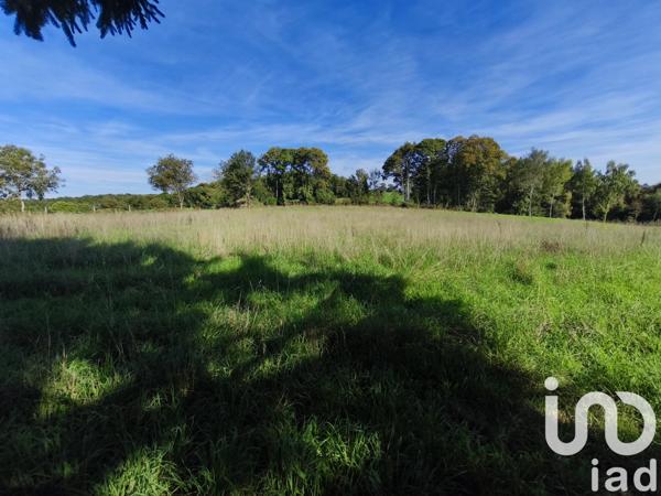 Maison à vendre 8 pièces 120 m² Puycapel