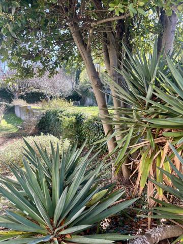 Malaucène (84340) COUP DE COEUR! MAISON PROVENCALE DE CARACTERE NICHÉE DANS UN ECRIN DE VERDURE