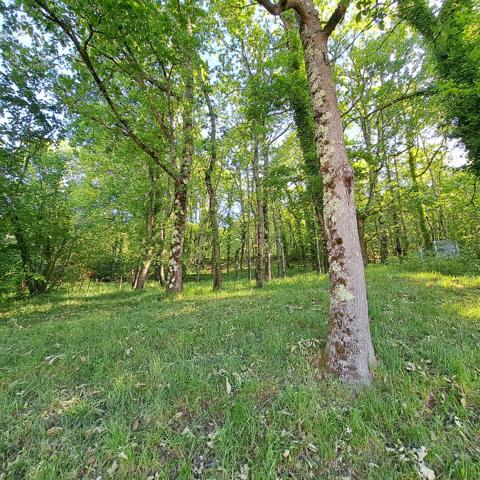 A VENDRE MAISON ENTIEREMENT RENOVEE / CHAMBRE EN REZ-DE-CHAUSSEE / JARDIN / GARAGE / 4 CHAMBRES