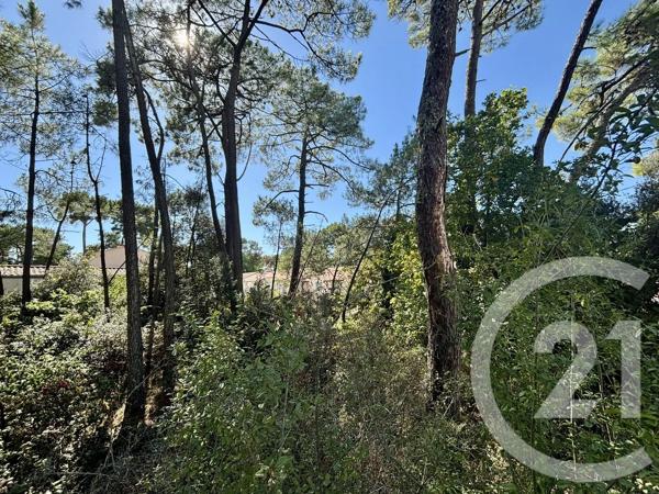 Terrain à vendre  401 m 2   LA TRANCHE SUR MER  - 85
