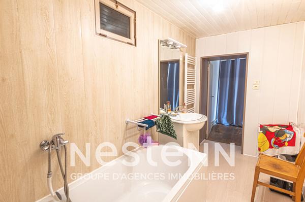 Maison Alban ancienne ferme avec dépendances sur 1ha de terrain attenant