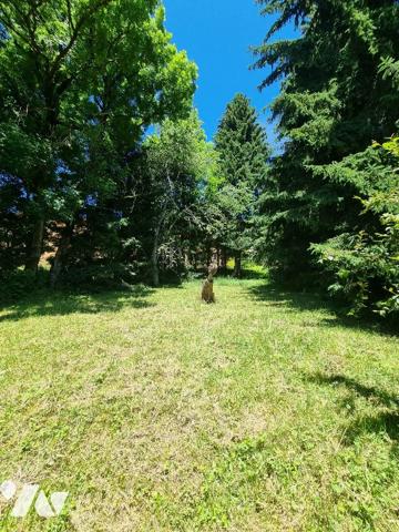 Chalet Petit-Châtel