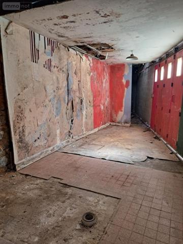 Maison à vendre à Le Mans dans la Sarthe (72000), ref : 72006-650