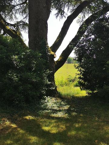 Propriété avec vue sur les Pyrénées : 2 belles maisons, piscine, jacuzzi, salle de sport; calme, campagne