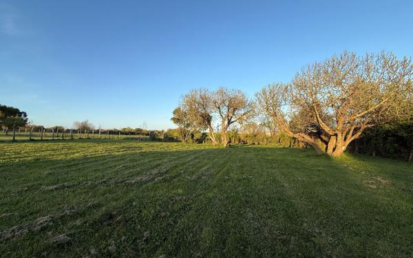 Maison à vendre    2 pièces •  Meschers-sur-Gironde