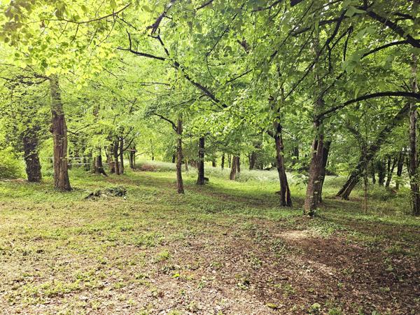 Vente / Maison de maître