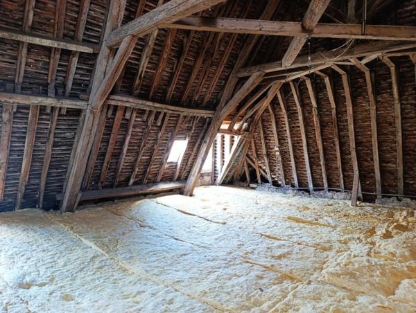 Demeure bourgeoise de 1750 avec tour ,jardin privatif ,garage et fort potentiel d aménagement