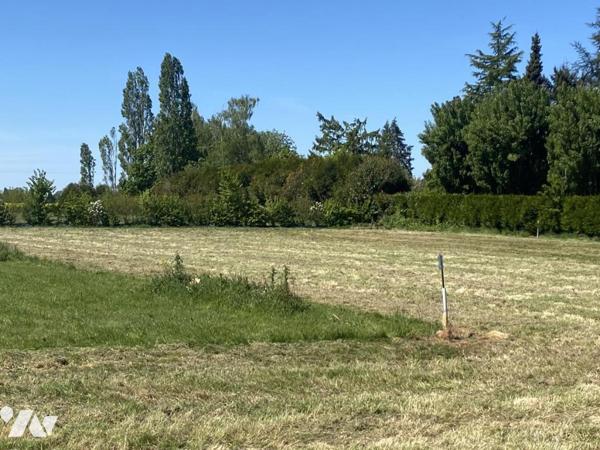 Vente Terrain à bâtir à Champenard