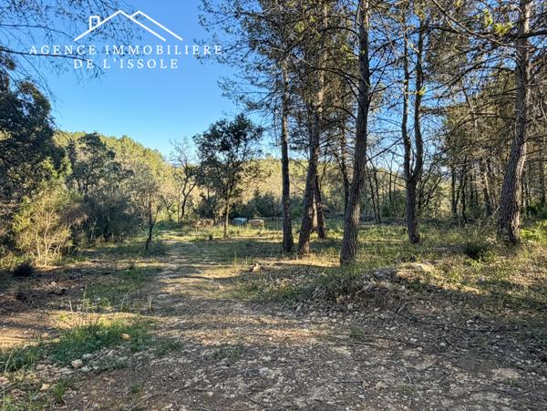 Flassans-sur-Issole (83340) Terrain de loisirs, 6200m² entretenu, accès par chemin terre
