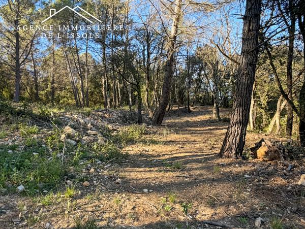 Flassans-sur-Issole (83340) Terrain de loisirs, 6200m² entretenu, accès par chemin terre