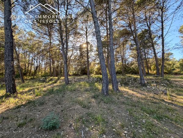 Flassans-sur-Issole (83340) Terrain de loisirs, 6200m² entretenu, accès par chemin terre