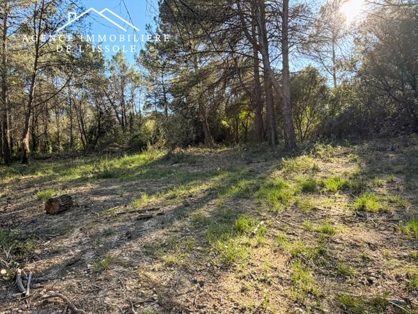 Flassans-sur-Issole (83340) Terrain de loisirs, 6200m² entretenu, accès par chemin terre