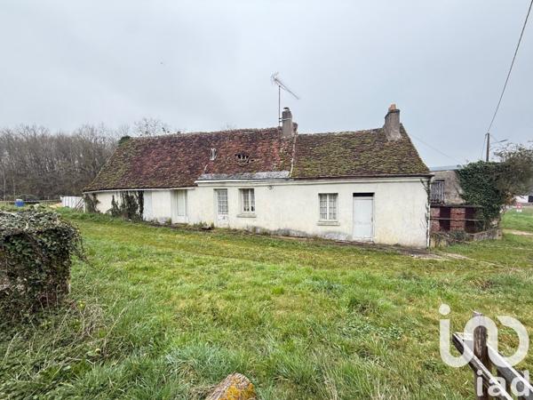 Longère 4 pièces de 100 m² à Chançay (37210)