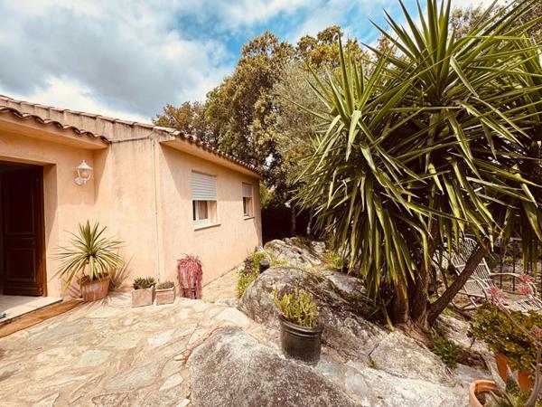 EXCLUSIVITÉ  Propriété avec deux villas indépendantes