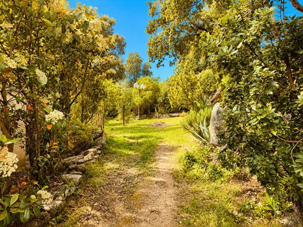 EXCLUSIVITÉ  Propriété avec deux villas indépendantes