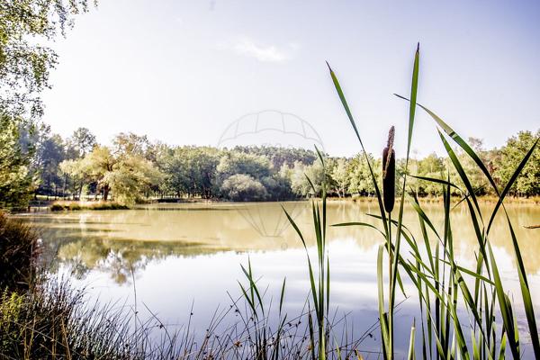 Maison  de luxe en vente - 