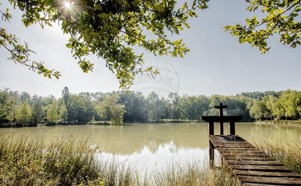 Maison  de luxe en vente - 